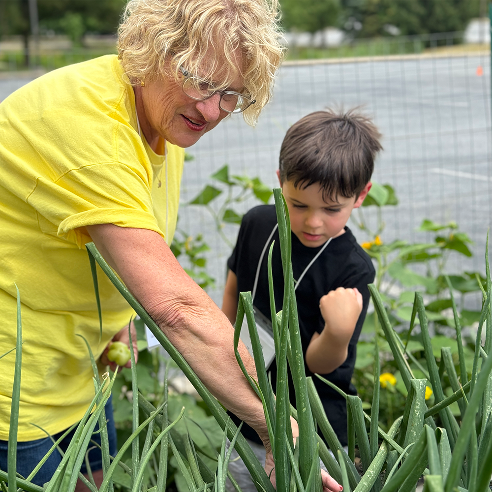 Gleaning Garden